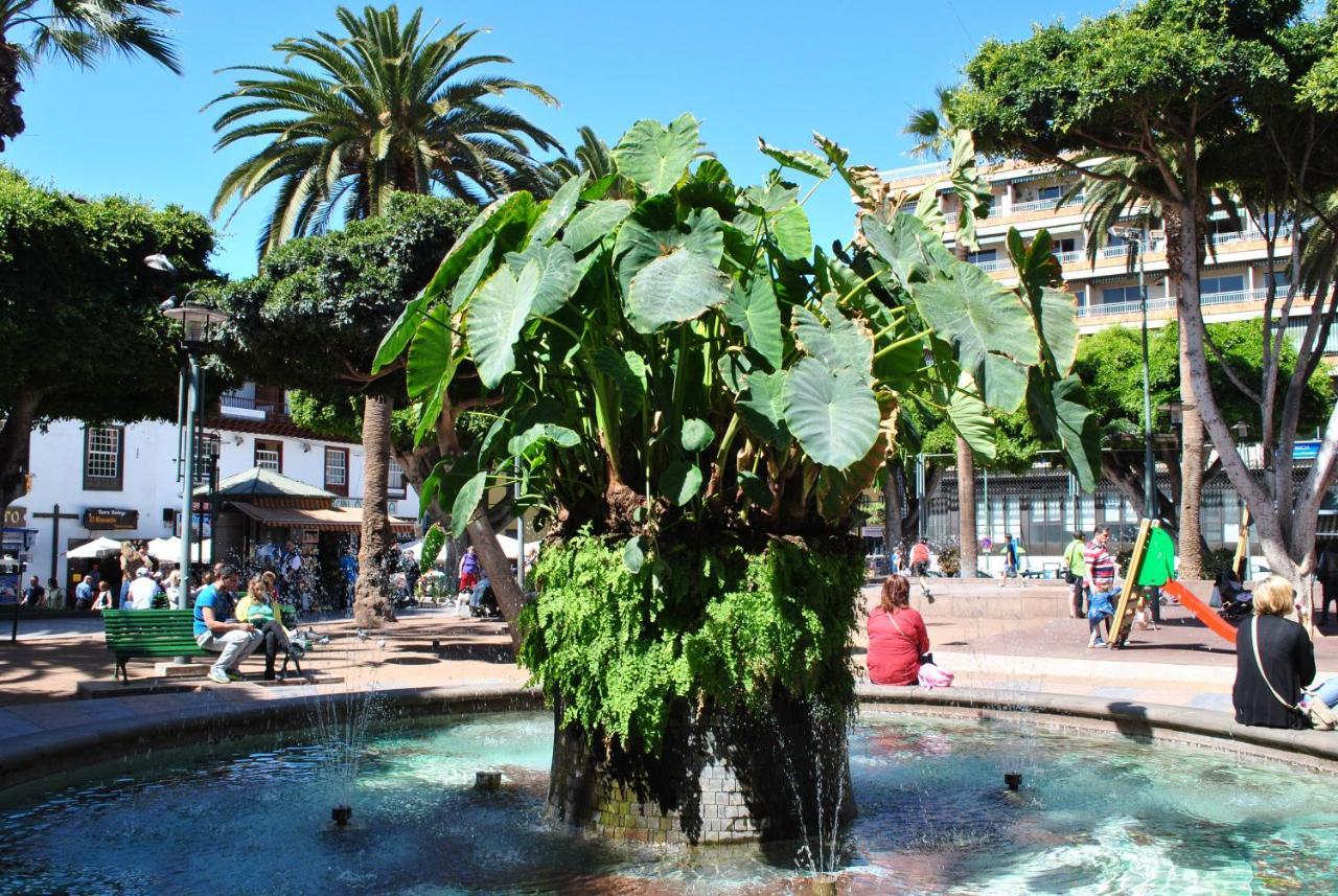 Durazno Tropical Apartment Puerto De La Cruz Eksteriør billede